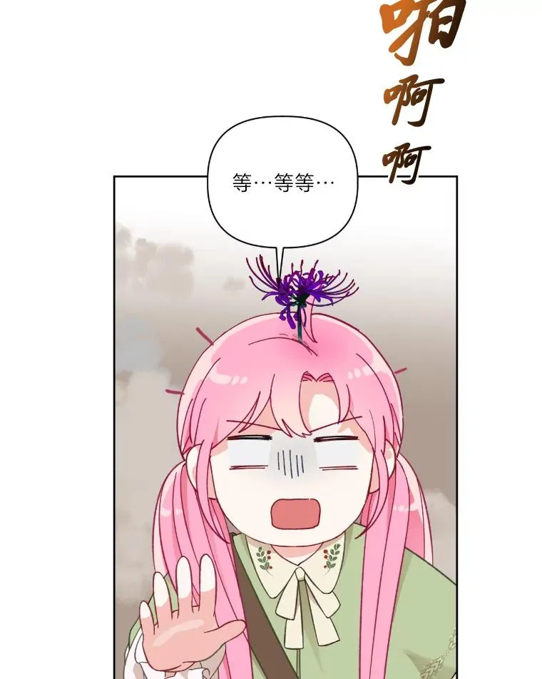 27.紫黑色彼岸花52