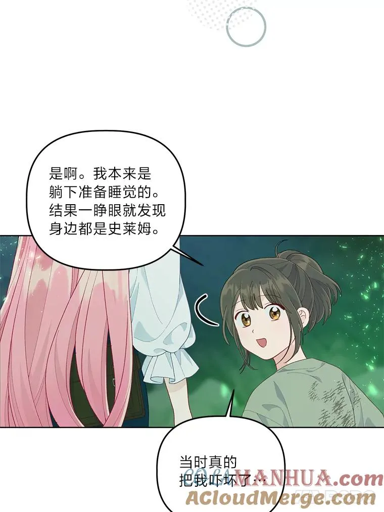 53.纯金苹果团49