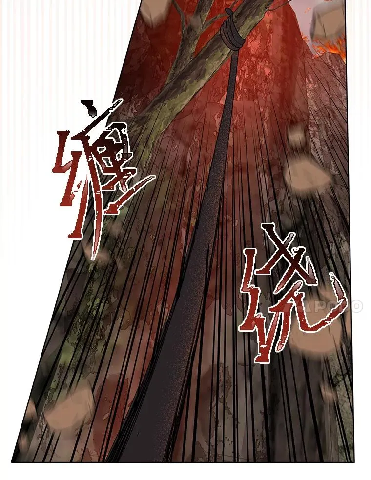 47.活用环境95