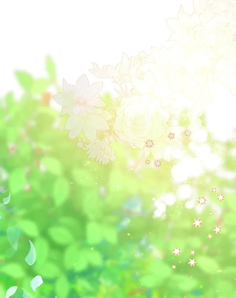 49.哥哥带回的消息55