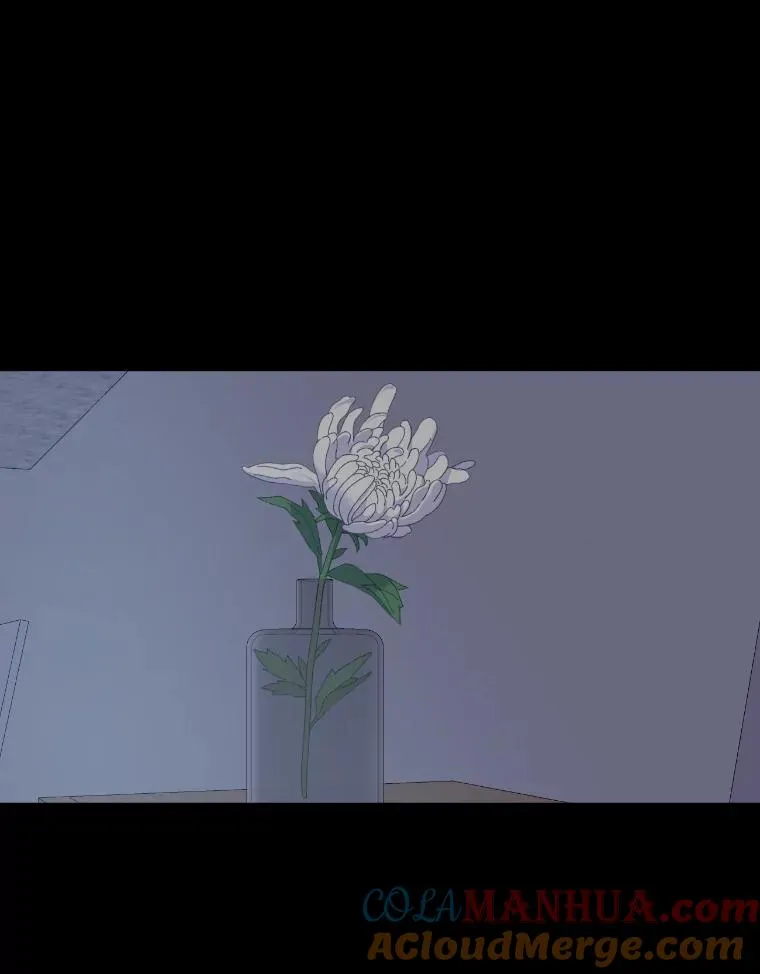 7.坎坷的回忆12