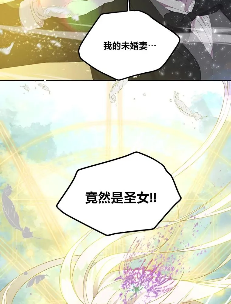 29.第三个计划53