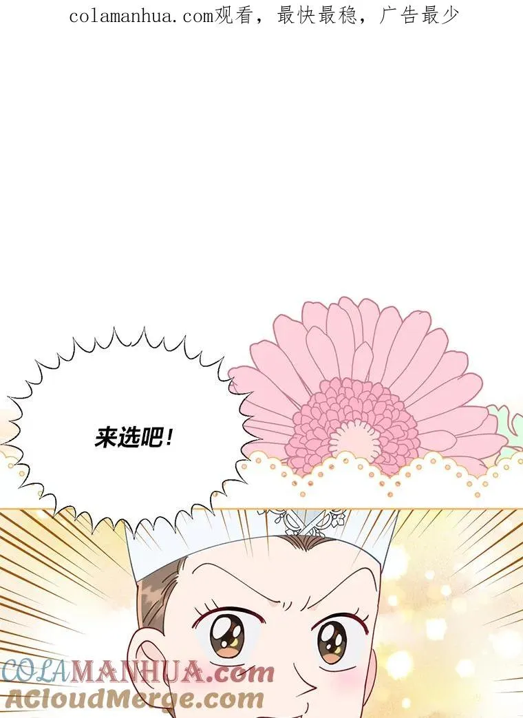 53.纯金苹果团0