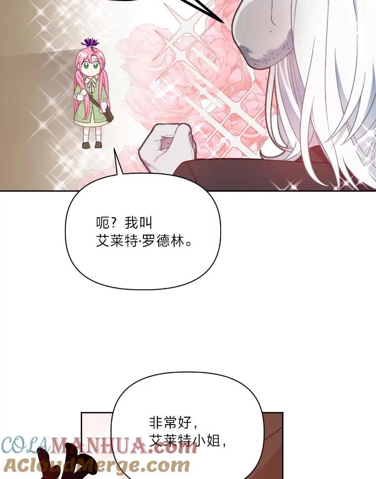 27.紫黑色彼岸花33