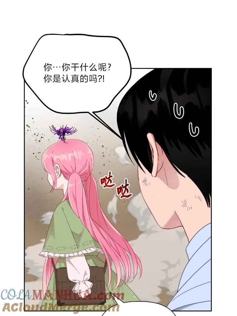 27.紫黑色彼岸花39