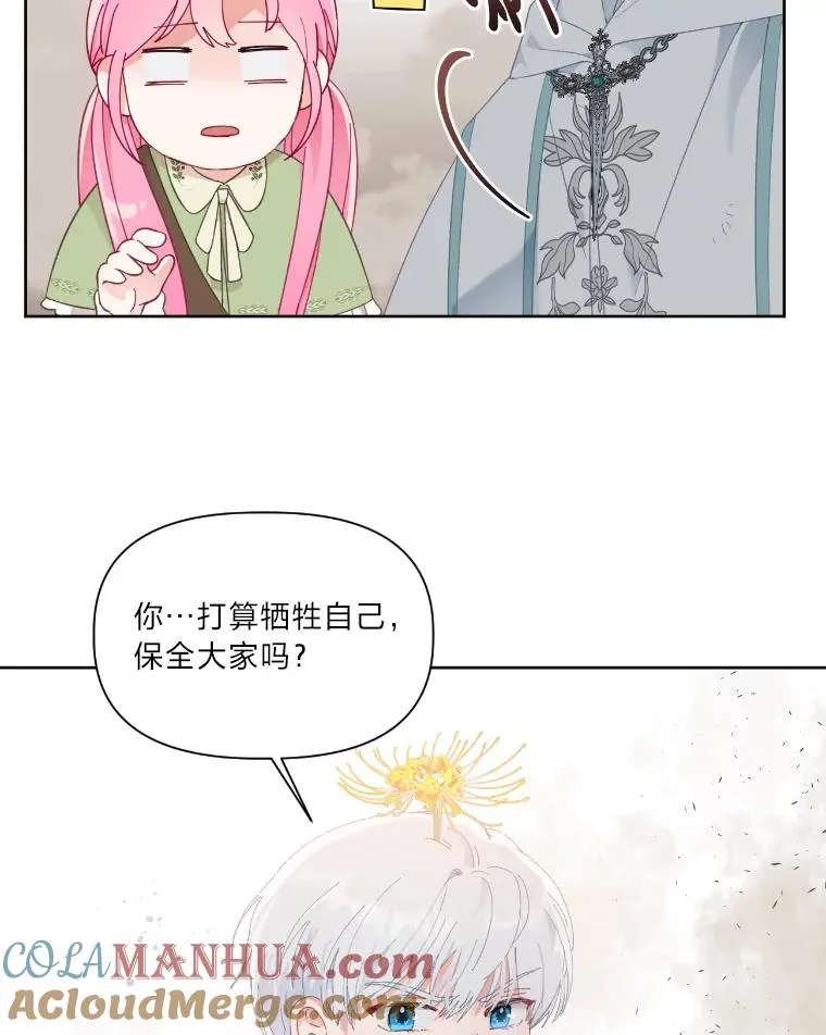 27.紫黑色彼岸花54