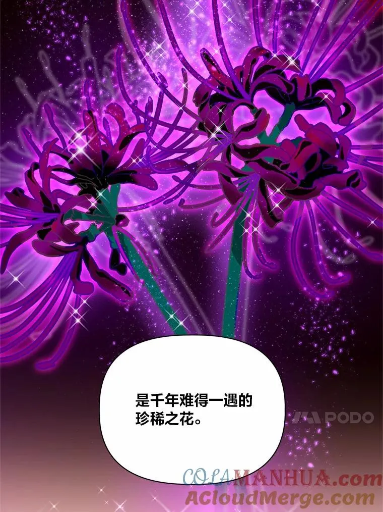 26.一二三彼岸花64