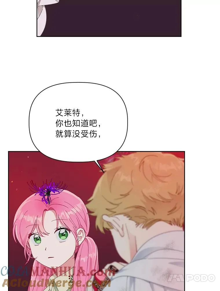 29.第三个计划12