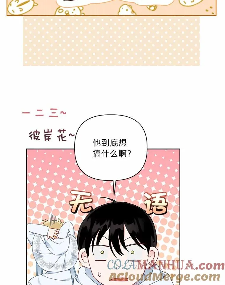 26.一二三彼岸花55