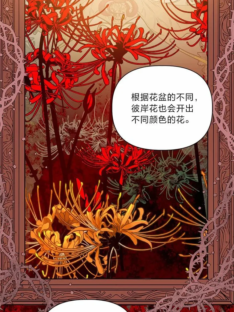 26.一二三彼岸花62