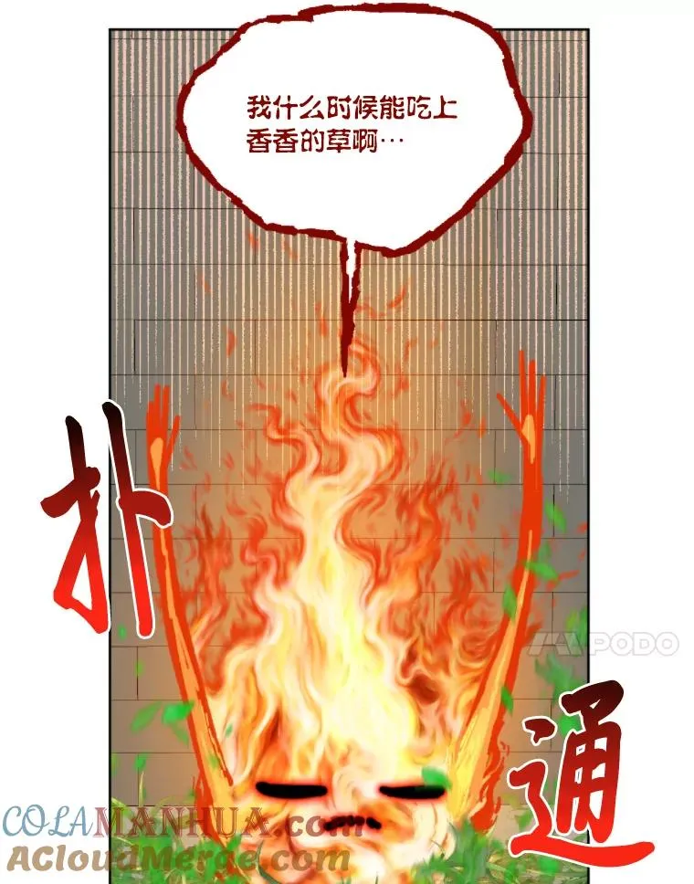 25.草宴78