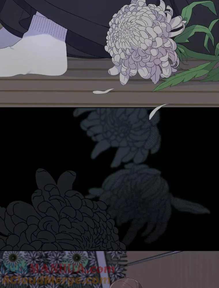 7.坎坷的回忆3