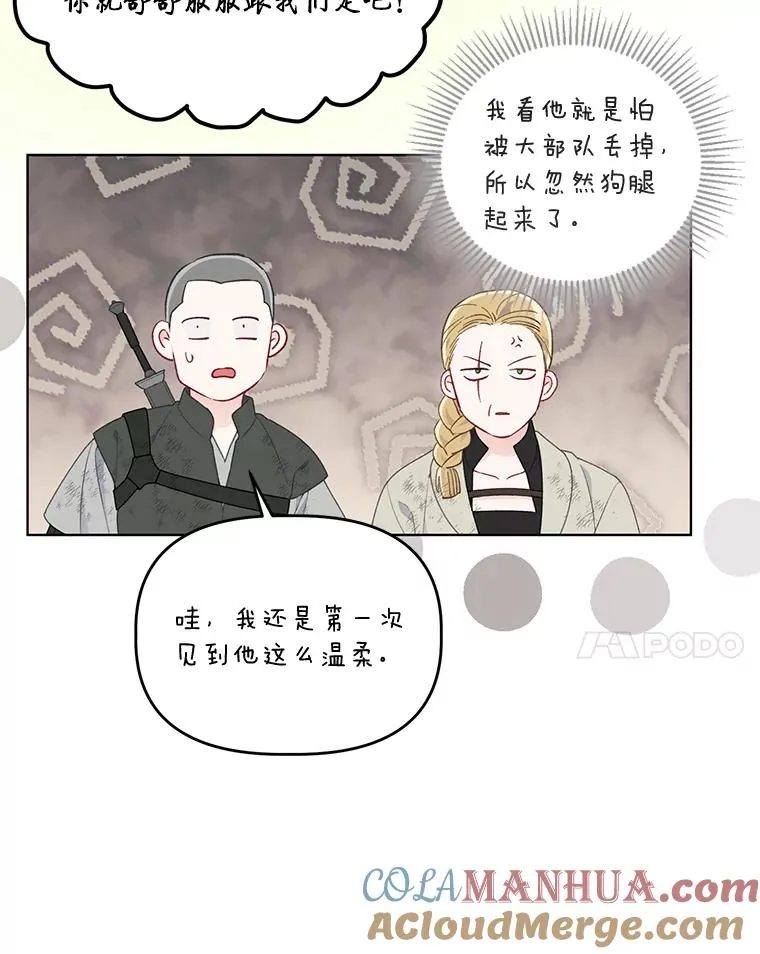 53.纯金苹果团31