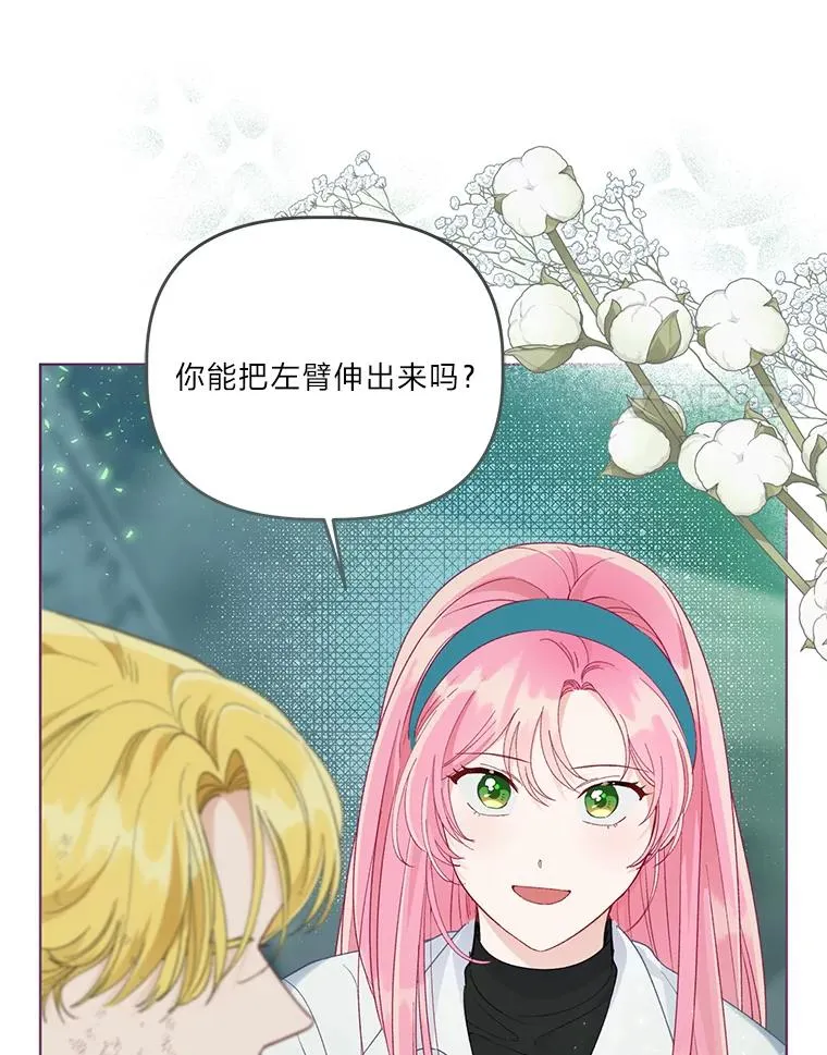 53.纯金苹果团11