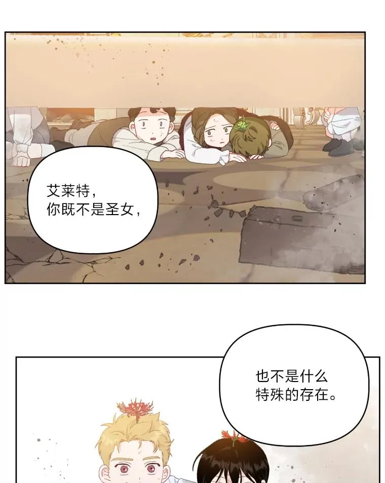 27.紫黑色彼岸花56