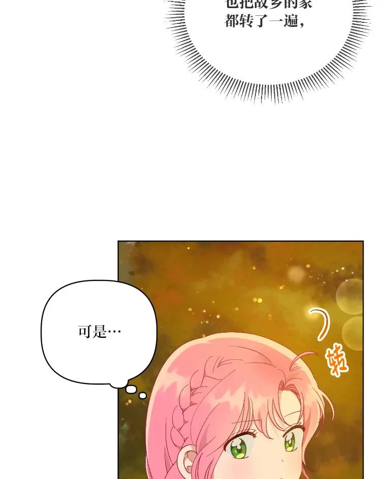 36.故乡的任务41