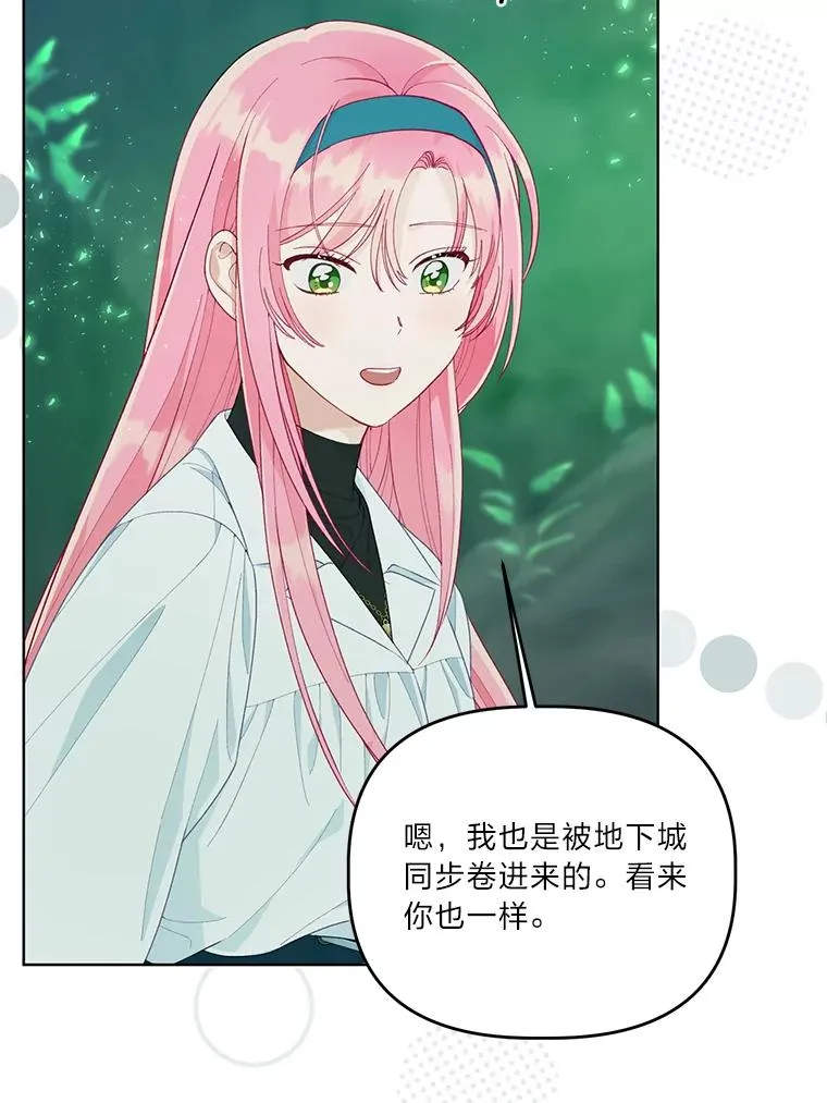 53.纯金苹果团48