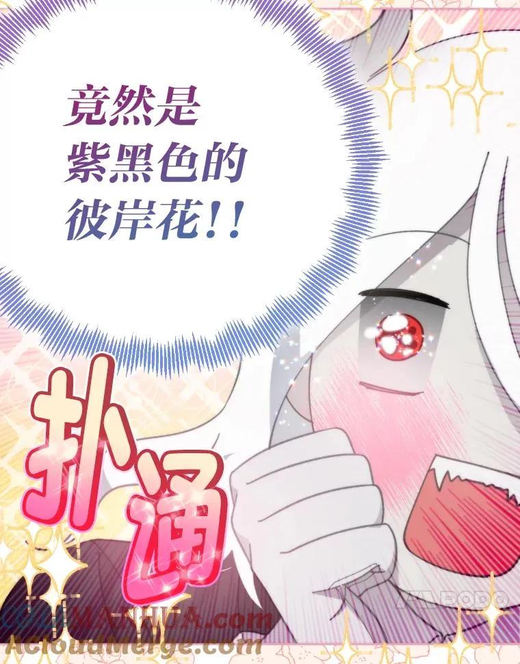 27.紫黑色彼岸花30