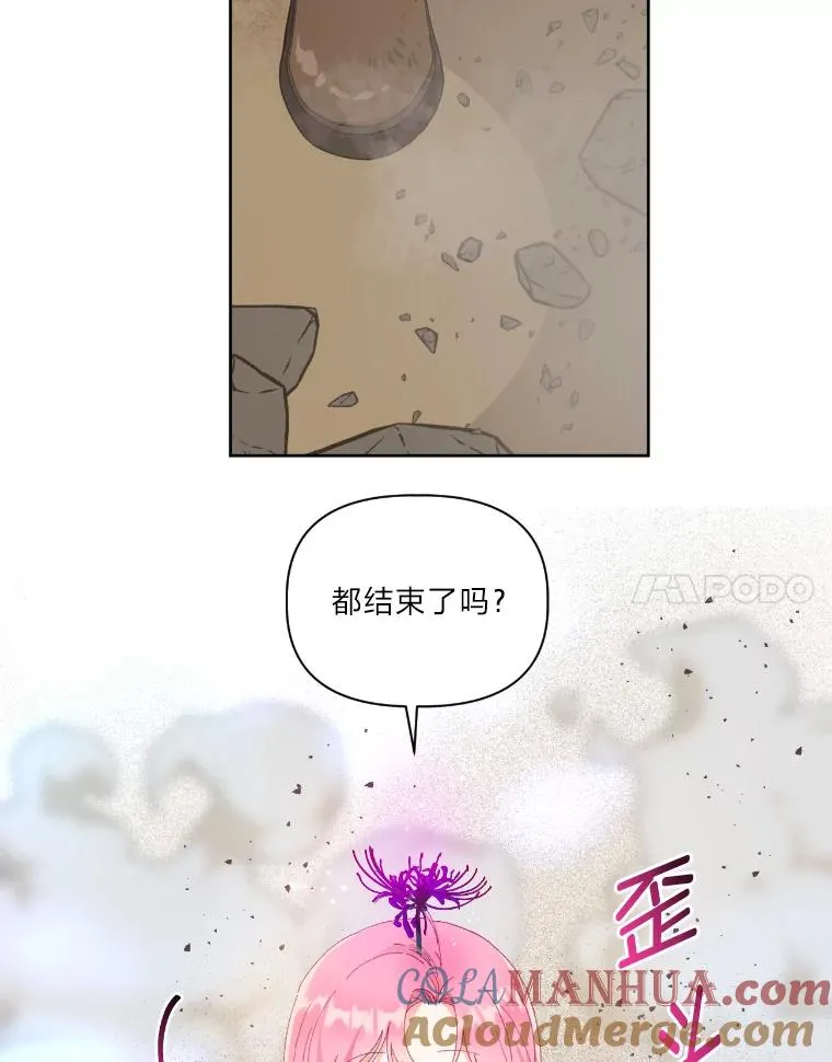 27.紫黑色彼岸花27