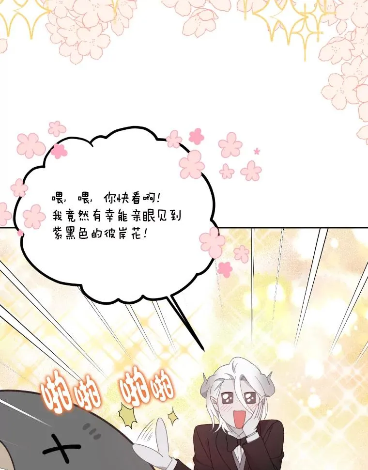 27.紫黑色彼岸花31