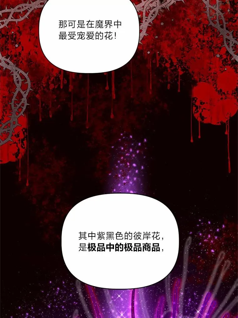 26.一二三彼岸花63