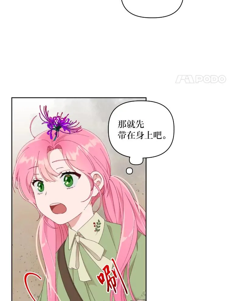 27.紫黑色彼岸花77