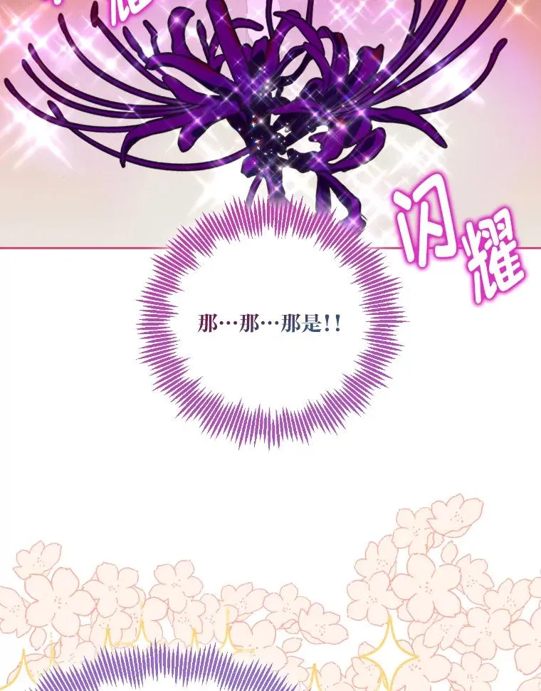 27.紫黑色彼岸花29