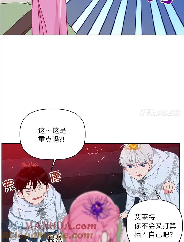 29.第三个计划6