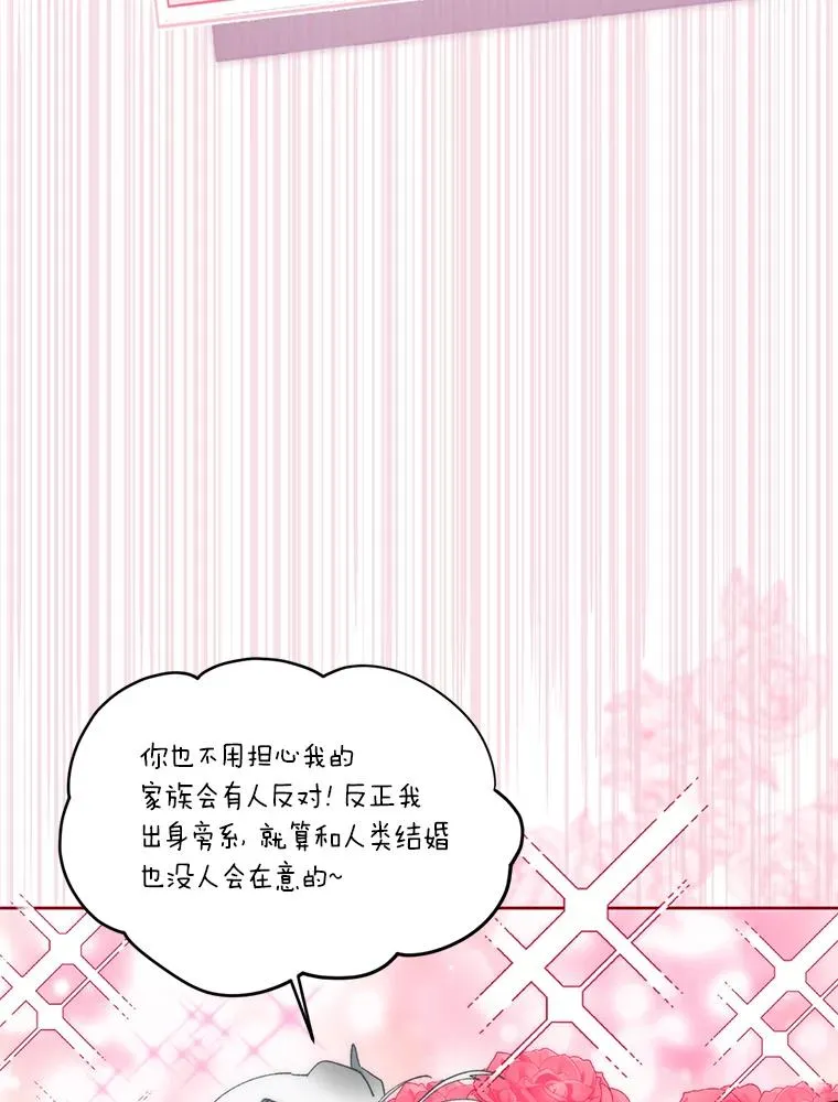 29.第三个计划1