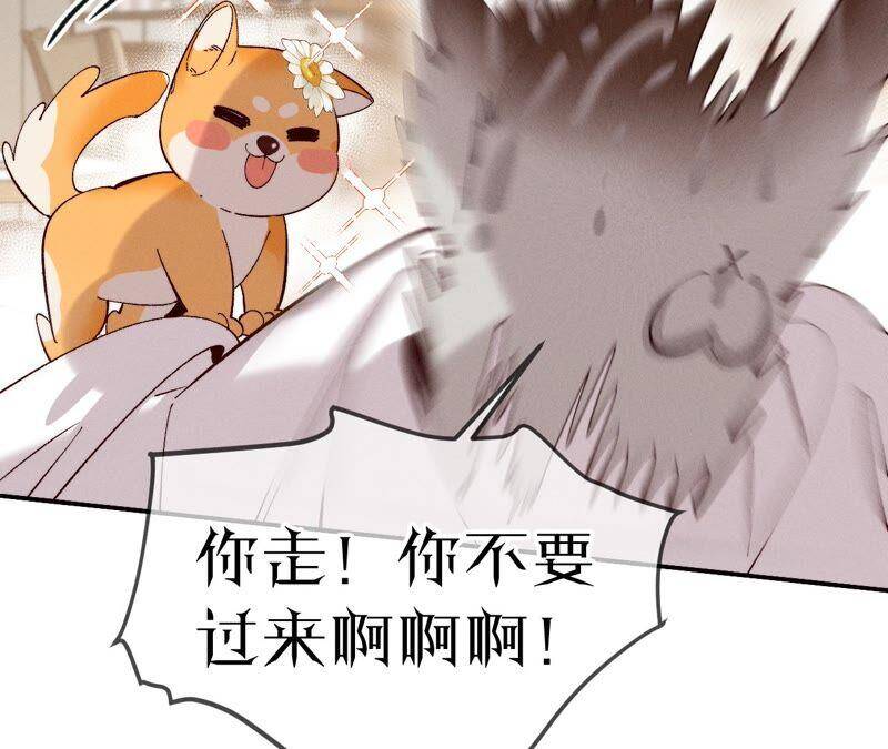 14·白占他便宜34