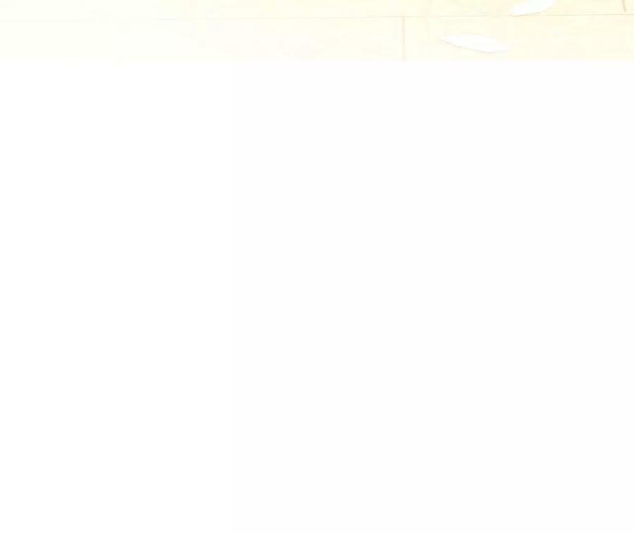 104·暗藏杀机的婚礼10