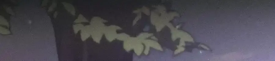 153·何时梦醒41
