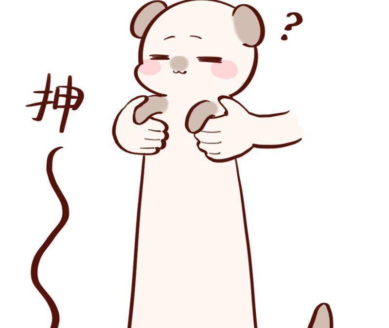15·六合社的渊源131