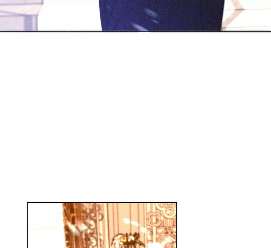 104·暗藏杀机的婚礼14