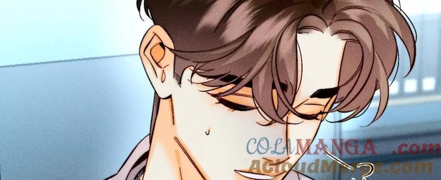 诈死40
