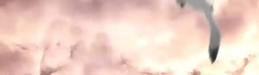 153·何时梦醒81