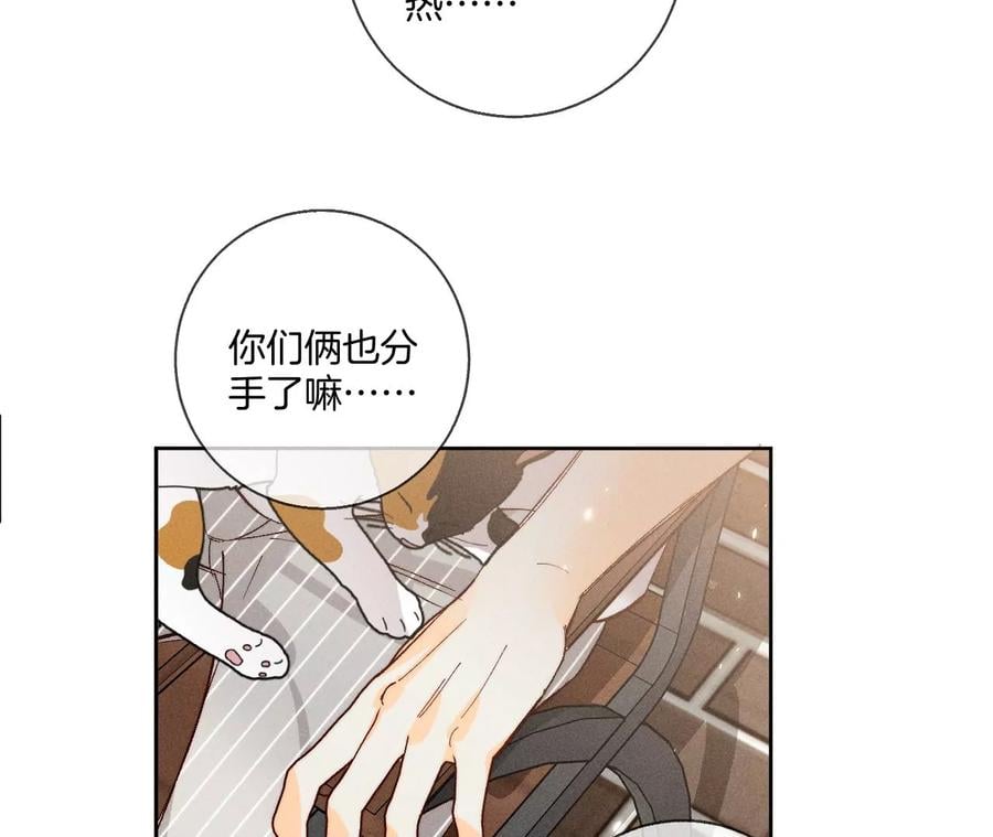 48·为他人做嫁衣？64