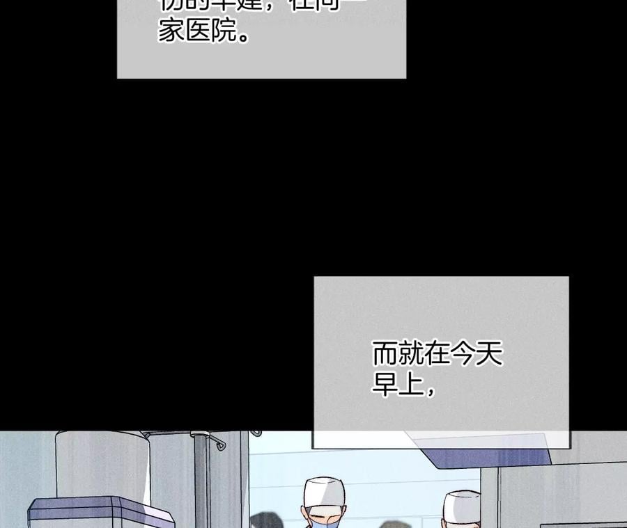 62·发光的阳鱼11