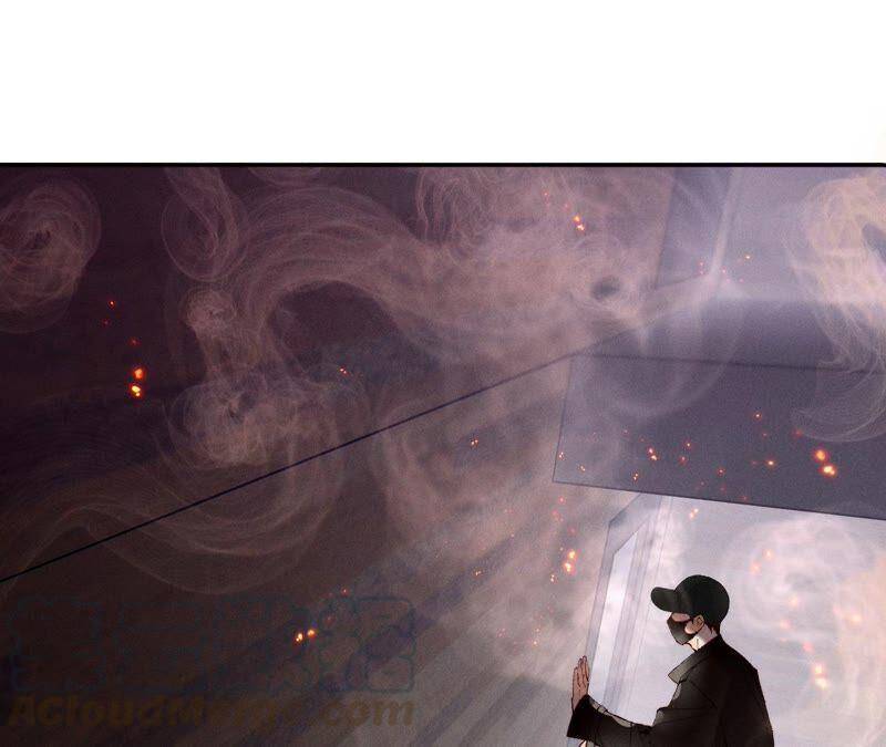 16·爱你如星辰87