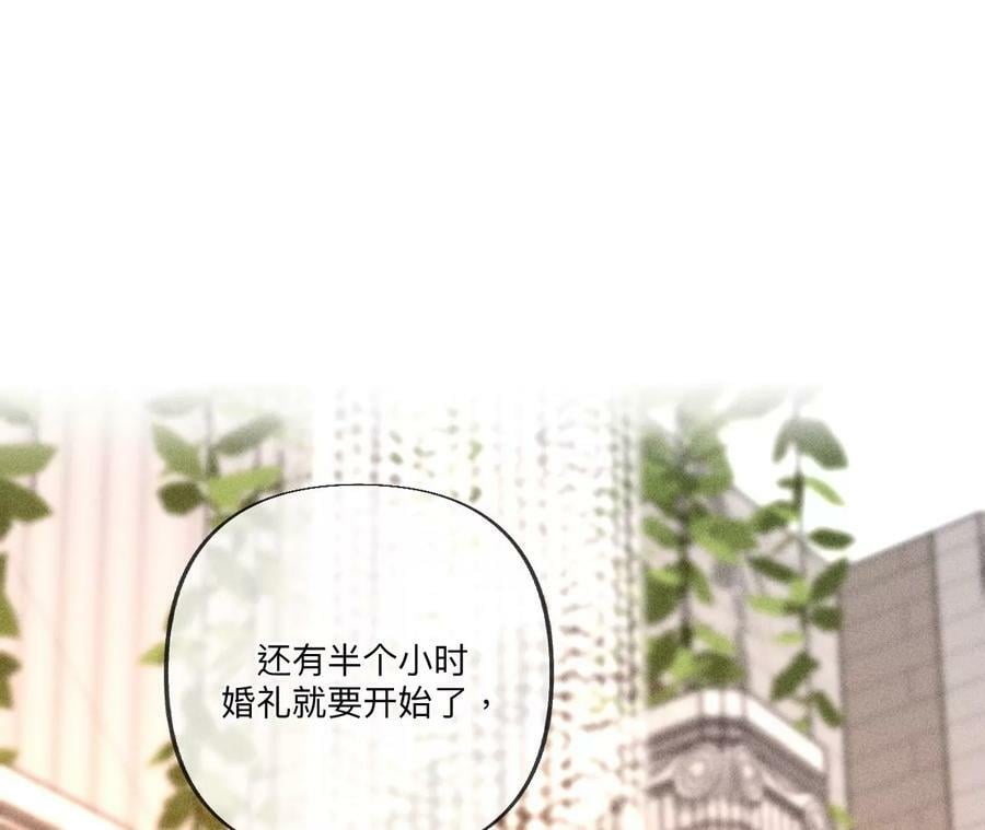 102·婚礼的神秘访客45