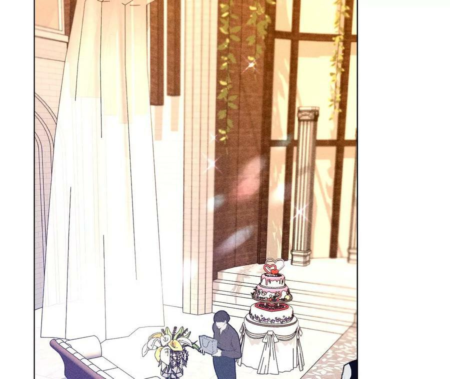103·惊心动魄的婚礼85