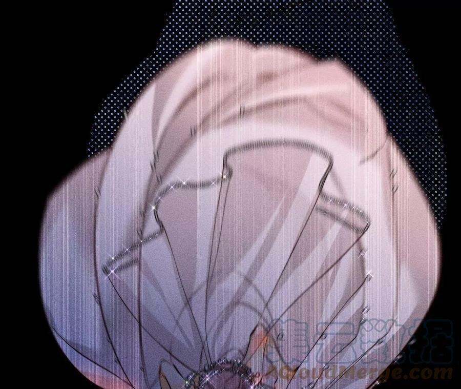 102·婚礼的神秘访客88