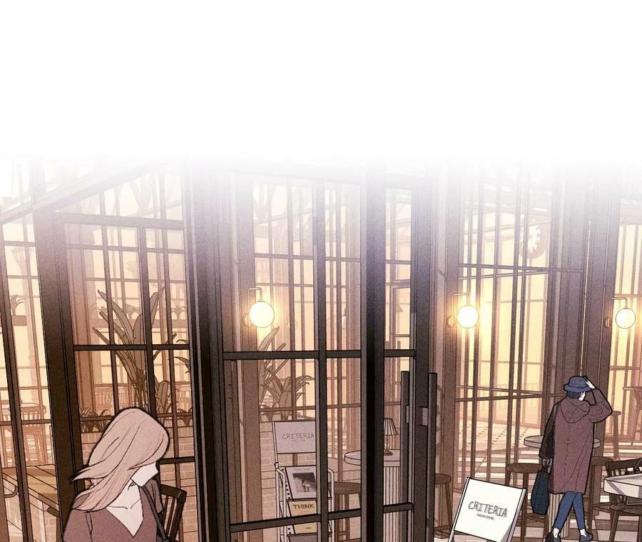114·等分的爱74
