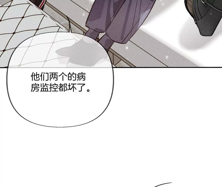 62·发光的阳鱼28