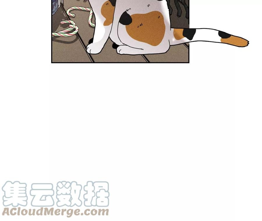 圣诞节番外9