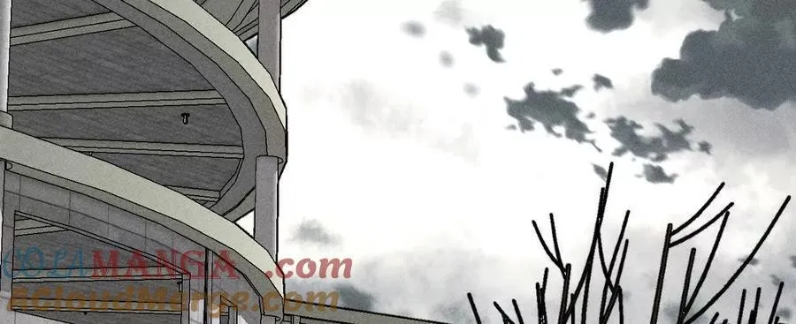 诈死44
