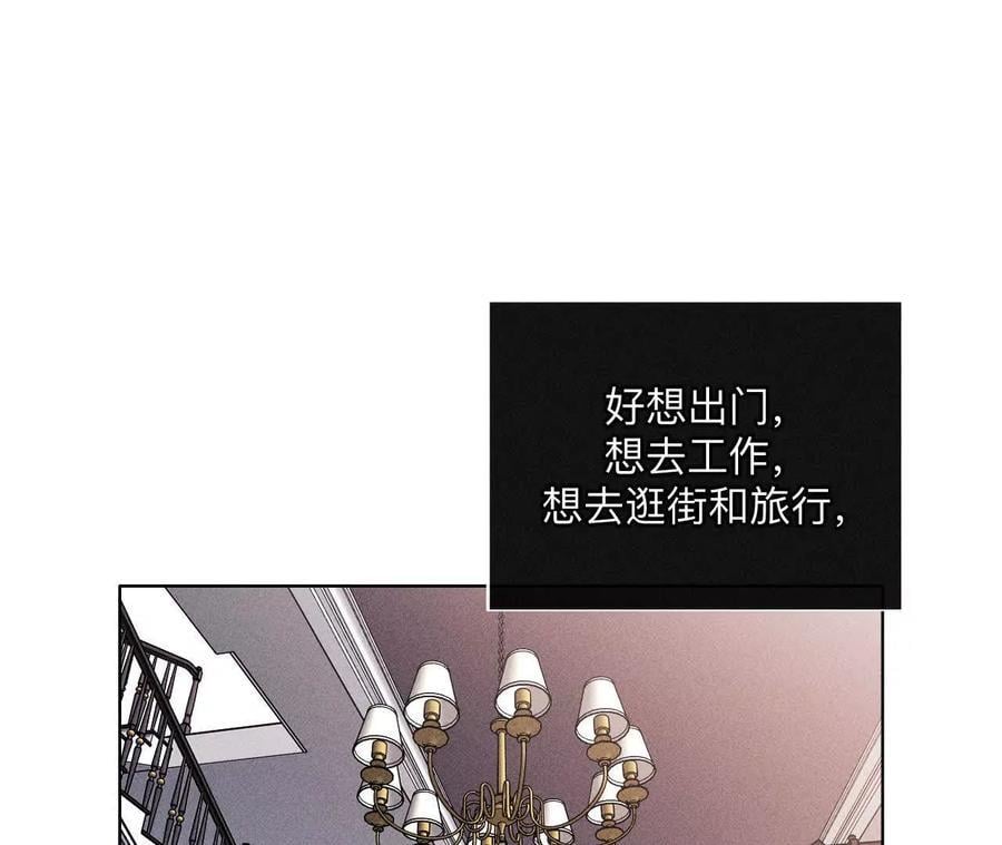 144·笼中雀37