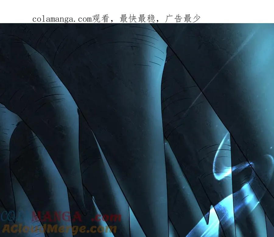 楚城主，品味不错0