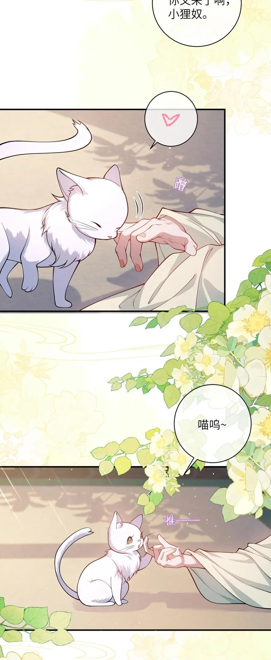 017 给点甜头25