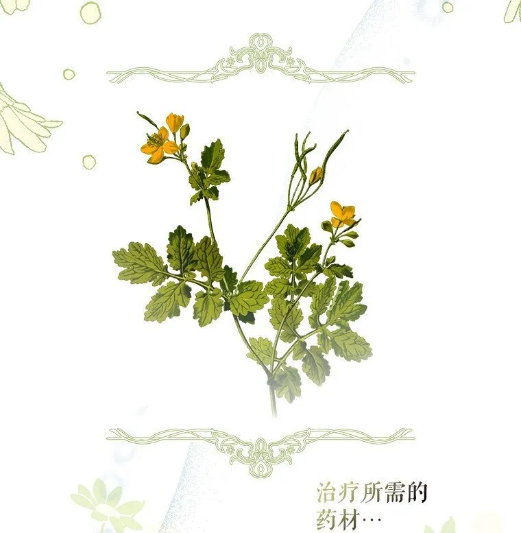 9. 重逢旧识37